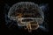 The Brain\\\'s Secret Language: Decoding Neuronal Connections neuronal Function background