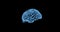 Brain scan concept