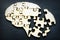 A brain shape from puzzles as  symbol of mental health and memory problems and Alzheimer disease