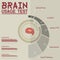 brain usage test infographic. Vector illustration decorative design