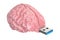 Brain USB flash drive, knowledge concept. 3D illustration