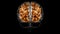Brain White matter of cerebral hemisphere Anatomy For Medical Concept 3D Animation