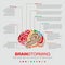 Brainstorming sprit color infographic