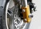 Brake disk on mini motorbike