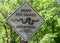 Brake for snakes sign in Arizona
