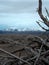 Bramble of sticks under cloudy sky with snowy mountains