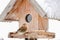 The Brambling bird perching on a wooden bird feeder house