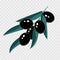 Branch with black olives for decorative design. Vector twig.