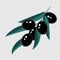 Branch with black olives for decorative design. Vector twig.