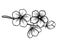 Branch of blossoming tree in graphic black white s
