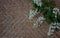 Branch with cherry blossom on the rattan background. Top view, flat lay