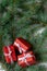 Branch christmas tree background red gift box vertical evergreen