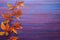 Branch of colorful autumn leaves Virginia creeper on wooden board