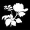 Branch of the dog rose with leaves and rose hips isolated logo icon. white silhouette. Vector