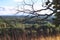 A branch of dry wood on a hillside. Summer view of the green valley