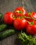 Branch with five ripe red tomatoes. Drops of water on ripe fruits. Green leaves and trunk.