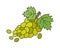 Branch of Green Grapes Flat Vector Icon