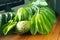 Branch of Green Soursop leaves and fresh fruit