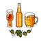 Branch of hop, big mug full of beer with foam and bubbles, bottle and IPA beer glass. Vector illustration