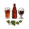 Branch of hop, Nonic pint beer glass, Goblet beer glass with foam and bubbles and dark glass bottleVector illustration