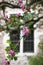 a branch of an inflorescence of pink hawthorn on a blurred window