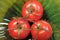 a branch of juicy tomatoes on a green relief background