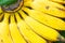 A branch of juicy yellow bananas close up