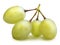 Branch of Muscat Grape isolated with clipping path