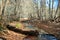 A branch of Oak Creek near Sedona, Arizona in winter.