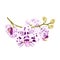 Branch orchids flowers dots purple and white Phalaenopsis tropical plant stem and buds on a white background vintage vector illu