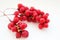 Branch of red ripe schisandra isolated