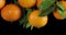Branch with ripe juicy tangerines.
