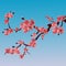 Branch of rose blossoming sakura . Japanese cherry tree. Vector Isolated Illustration