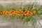 A branch with sea buckthorn berries on a wooden background
