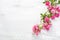 Branch of small pink roses on a shabby wooden table. flat lay