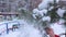 Branch of spruce covered snow on blurred background of city park. Female hand shakes off snow from spruce branch.