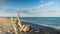 Branch in sunlight lies on a wild beach against the backdrop of the Black Sea and the cloudy sky