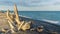 Branch in sunlight lies on a wild beach against the backdrop of the Black Sea and the cloudy sky