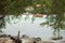 Branch trees foreground on beach Samet Island Rayong,Thailand