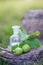 branch with two unripe green walnuts with leaves for preparation of medicines and tinctures. clear bottle with elixir cork. bottle
