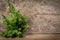 Branches arborvitae, Juniper branches on wood Christmas background