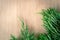 Branches arborvitae, Juniper branches on wood Christmas background