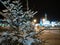 Branches ate covered with fluffy snow on a city street on a winter night. Festive symbol of the New Year and Christmas