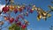 Branches of barberry with berries in a bright autumn sky