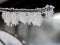 Branches covered with frost in winter in the southern Urals, macro