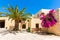 Branches of flowers pink bougainvillea bush on Balcony in street, Crete