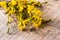 Branches forsythia background spring twig flower