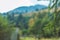 Branches of green spruce on a background of mountain landscape