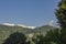 Branches of green trees against the wooded slopes of the mountains and the snowy peaks of Annapurna under a clear blue sky