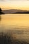 The branches in the lake reflect the golden sun